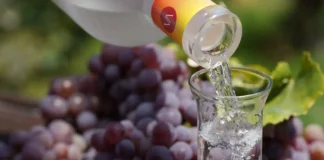Producción de pisco en Perú aumenta 24.28 % en los primeros cinco meses de 2026 Producción de pisco en Perú aumenta 24.28 % en los primeros cinco meses de 2026