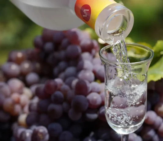 Producción de pisco en Perú aumenta 24.28 % en los primeros cinco meses de 2026 Producción de pisco en Perú aumenta 24.28 % en los primeros cinco meses de 2026