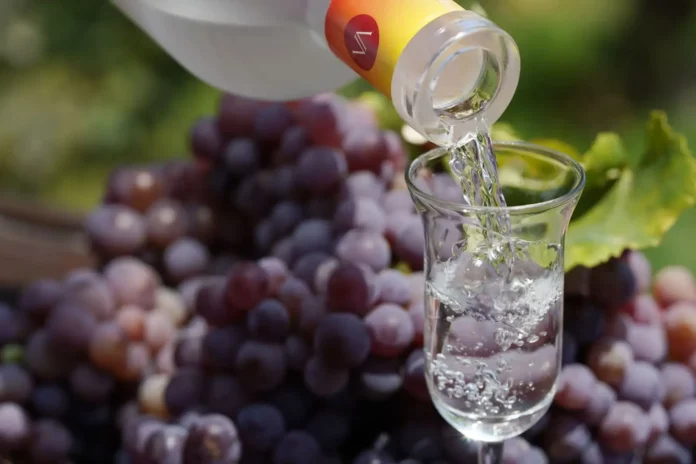 Producción de pisco en Perú aumenta 24.28 % en los primeros cinco meses de 2026