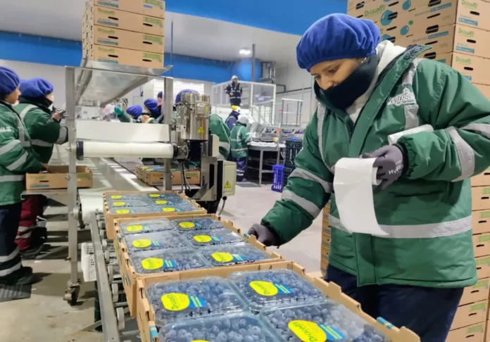 TLC con Guatemala abre un mercado de más de US$ 2,000 millones para productos agrarios peruanos
