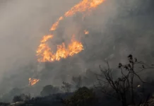 Serfor exhorta a evitar la quema de pastizales tras incendio forestal en Cusco Serfor exhorta a evitar la quema de pastizales tras incendio forestal en Cusco