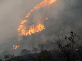 Serfor exhorta a evitar la quema de pastizales tras incendio forestal en Cusco Serfor exhorta a evitar la quema de pastizales tras incendio forestal en Cusco