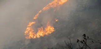 Serfor exhorta a evitar la quema de pastizales tras incendio forestal en Cusco Serfor exhorta a evitar la quema de pastizales tras incendio forestal en Cusco