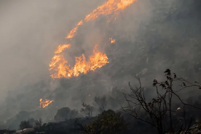 Serfor exhorta a evitar la quema de pastizales tras incendio forestal en Cusco