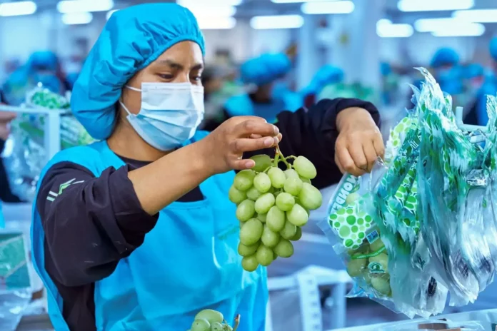 Confiep: Agroexportaciones podrían superar los US$ 30 000 millones con nuevos proyectos de irrigación Confiep: Agroexportaciones podrían superar los US$ 30 000 millones con nuevos proyectos de irrigación