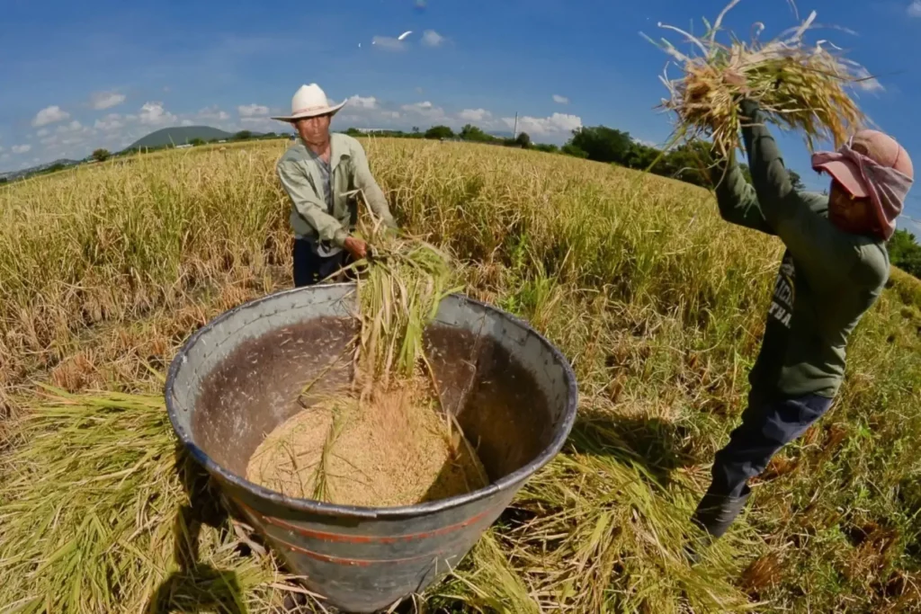 Gobierno anuncia proyectos de infraestructura para fortalecer el transporte de productos agrícolas