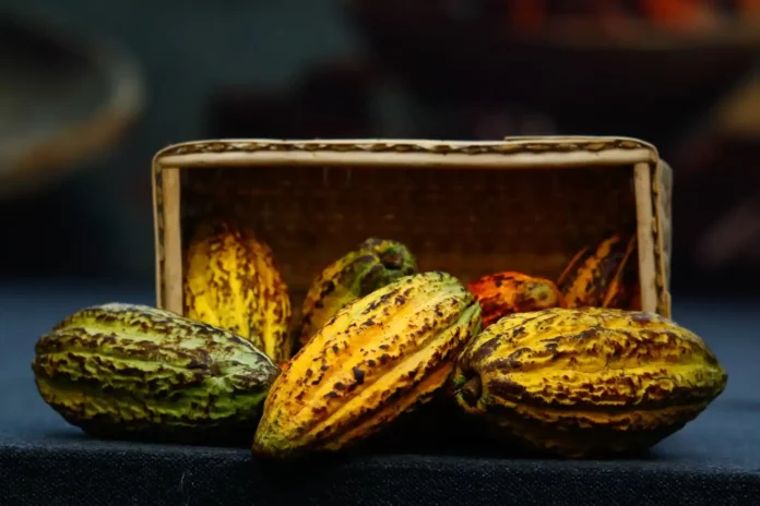 El cacao nativo peruano se posiciona en Canadá y destaca en el segmento premium internacional