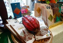 Perú se consolida como el segundo mayor exportador de cacao en grano de Latinoamérica