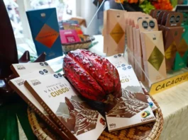 Perú se consolida como el segundo mayor exportador de cacao en grano de Latinoamérica