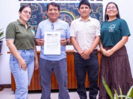 Castañeros de Madre de Dios accederán a descuentos por manejo forestal certificado Castañeros de Madre de Dios accederán a descuentos por manejo forestal certificado