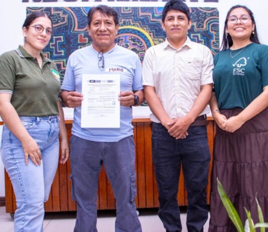 Castañeros de Madre de Dios accederán a descuentos por manejo forestal certificado Castañeros de Madre de Dios accederán a descuentos por manejo forestal certificado