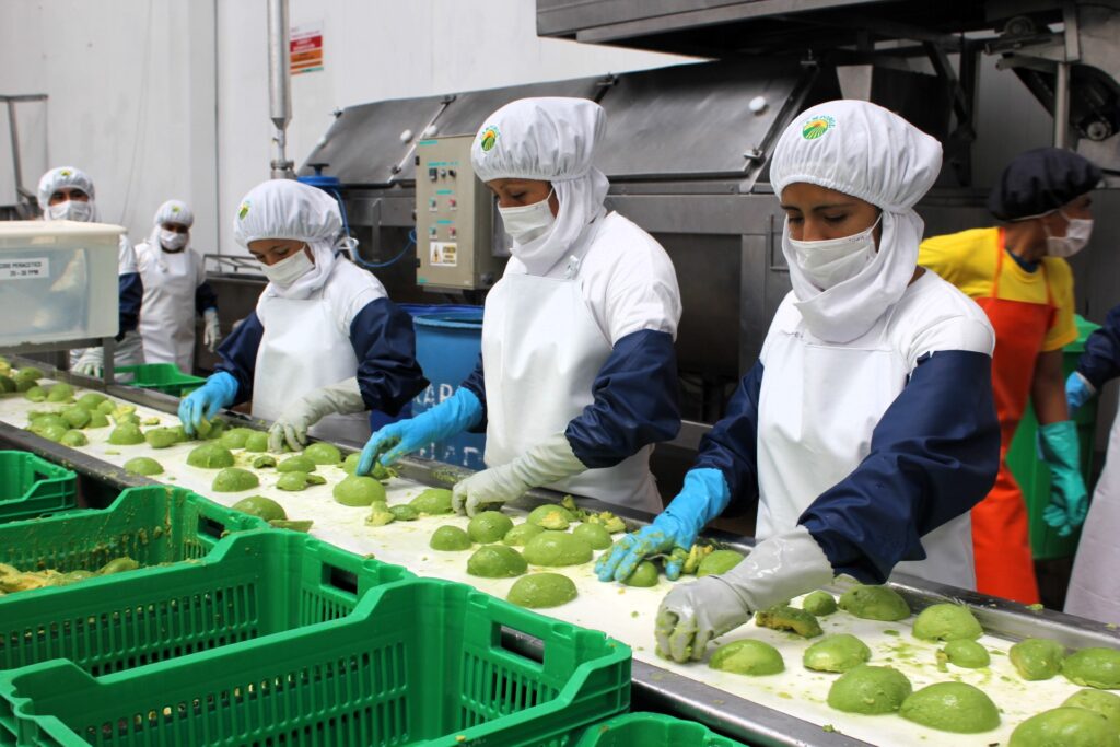 Exportaciones a España crecen 1,5 % entre enero y mayo impulsadas por la agroindustria y la pesca