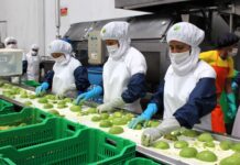 Exportaciones a España crecen 1,5 % entre enero y mayo impulsadas por la agroindustria y la pesca Exportaciones a España crecen 1,5 % entre enero y mayo impulsadas por la agroindustria y la pesca