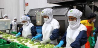 Exportaciones a España crecen 1,5 % entre enero y mayo impulsadas por la agroindustria y la pesca Exportaciones a España crecen 1,5 % entre enero y mayo impulsadas por la agroindustria y la pesca