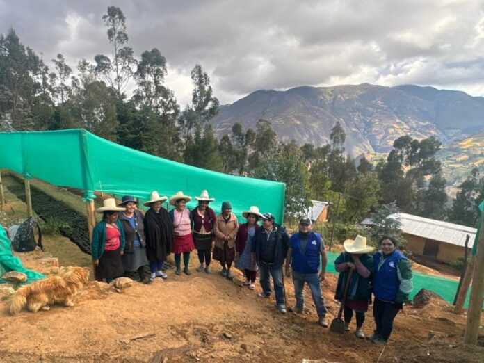 Piura: instalan módulos agrícolas y brindan asistencia técnica a más de 3 mil productores de Huancabamba