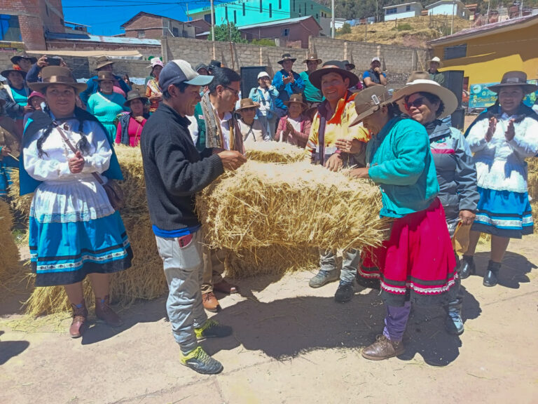 Apurímac: Antabamba recibe 67 toneladas de heno para proteger a 70 mil cabezas de ganado