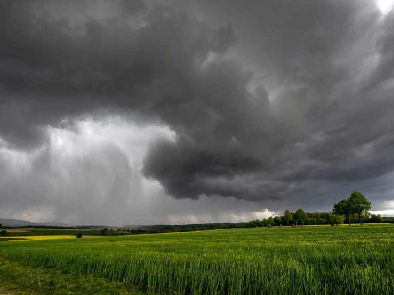 El Niño Costero pone a prueba la adaptación de la agricultura peruana