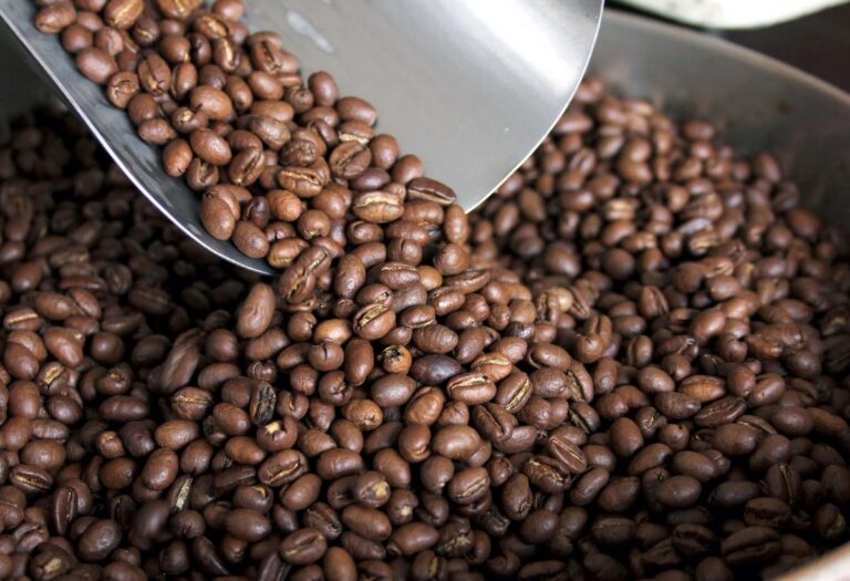 Día del café peruano: conoce qué factores determinan su calidad y reconocimiento mundial