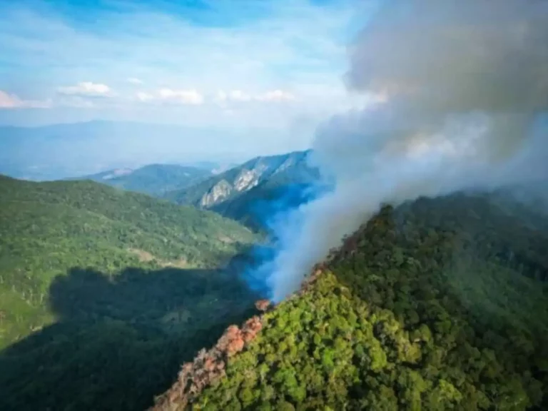 San Martín enfrenta riesgo de estrés hídrico e incendios forestales, advierte Senamhi