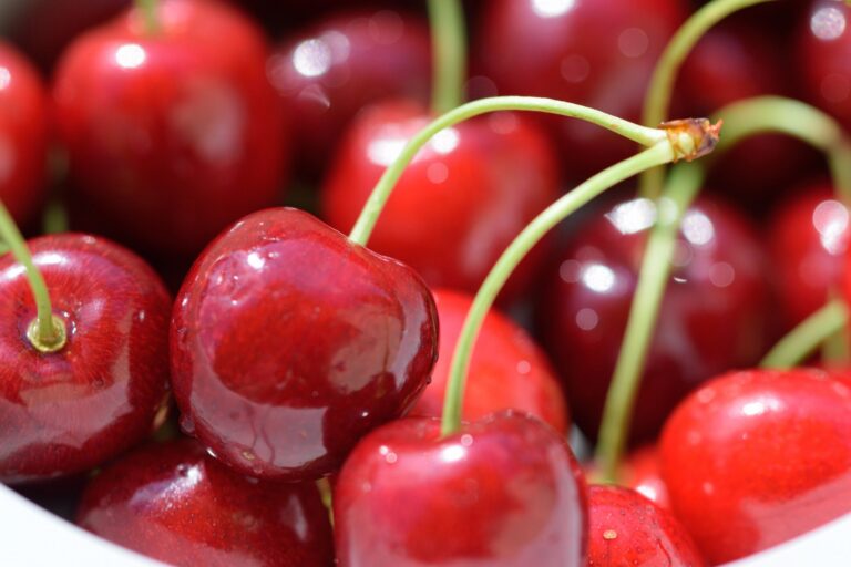 Perú evalúa desarrollar la producción de cerezas para ampliar su oferta agroexportadora