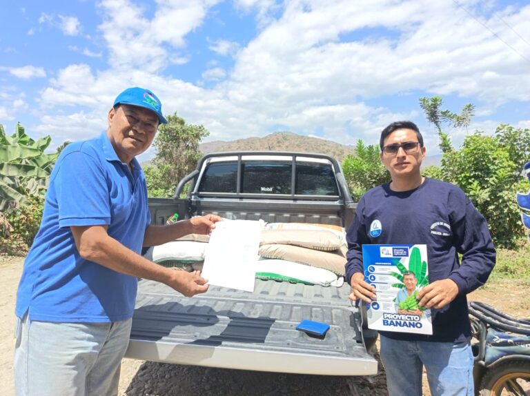 Piura: entregan 475 kilos de insumos para cultivo de banano en Morropón