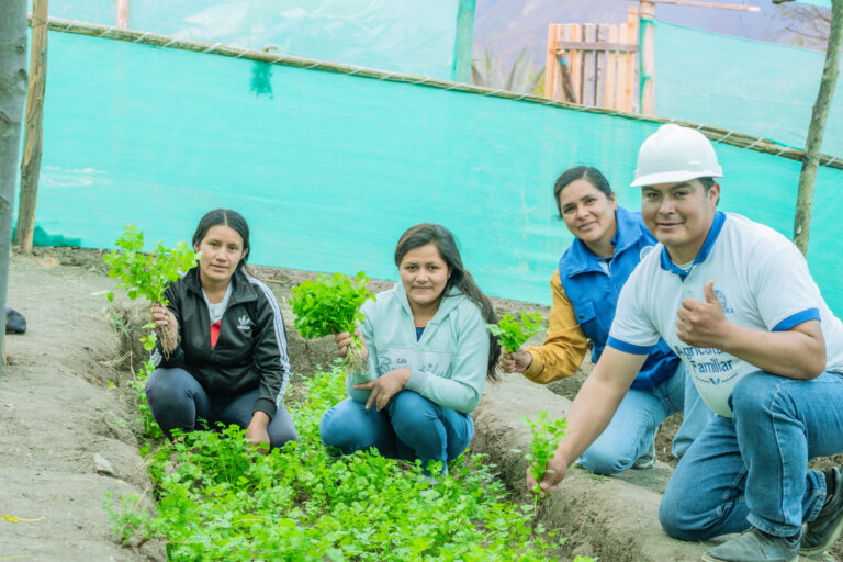 Productores de Sondorillo fortalecen sus cultivos mediante un vivero agrícola