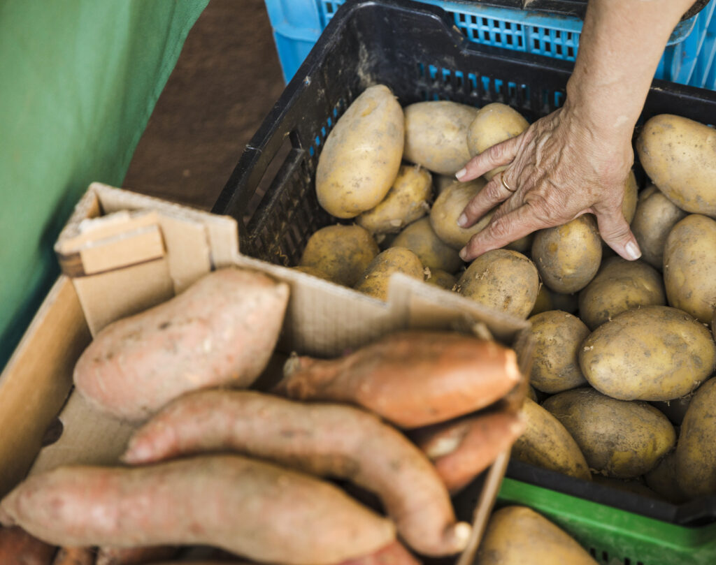 América Latina concentra una de cada cinco pérdidas mundiales de alimentos