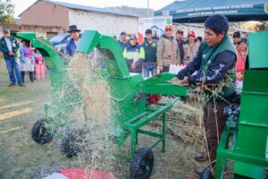 Ayacucho: Más de 1,200 familias productoras serán beneficiadas con kits para alimentar al ganado